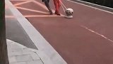 体力跟脑力的区别，我陷入了沉思，竟无力吐槽