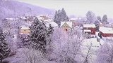 情人节古风情话给你心动的人