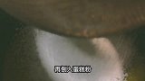 曲奇泡芙的制作方法一次就能做成功口口留香好吃到爆