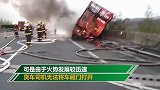 浙江一货车起火致91头肥猪死亡 仅有一头“猪坚强”幸存