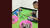 狗狗，你这是在照镜子吗还是在干什么！