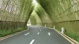 台风过后的后山小道，仿佛世外桃源，越走越震惊！