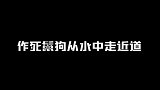 鬣狗从水中走近道，下一秒竟被鳄鱼活吞，镜头拍下难以置信的画面