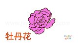植物简笔画大全，画粉色牡丹花简笔画