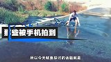 那些被手机拍到的人类愚蠢瞬间，吃蜂蜜也有可能被扎嘴