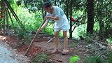 老腊肉搭配这道菜, 堪称一绝, 三兄妹吃了6碗饭