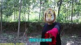 奥特曼真人版：欧布和银河赶来解救迪迦，3人合力施展奥特之光！