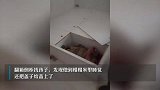 外出10分钟孩子不见了？全村帮找人，不料男孩在榻榻米下睡觉