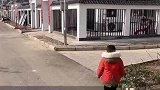 老家的新农村，有饭店有超市
