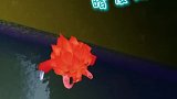 你有没有被这野人打死过