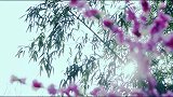肖战宋祖儿演绎古代少男少女的欢脱日常：羽然魏无羡组队逛集市