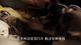 男子翻修旧屋顶，发现“几撮白毛”，鼓起勇气翻开一看，吓得够呛