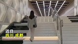 地铁口现音乐阶梯，市民纷纷“打卡”体验，挺好玩