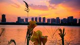 喜欢夕阳，喜欢民谣，喜欢独处下那份宁静。