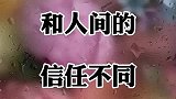 和人间的信任不同