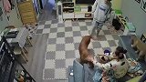 金毛是做什么样的恶梦，竟从沙发上摔下来了