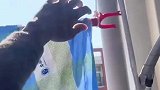 自制上升晾衣架，一拉床单就上去了