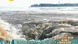 湖北转移民众 杜家台做好开闸泄洪准备-7月28日