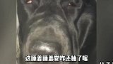 就是这个味道，这也太香了，就是有点上头