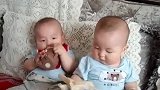 双胞胎宝宝比赛喝奶，萌翻了