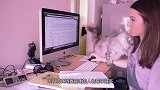 猫咪变得越来越像人，不愿意再做只猫咪了，网友：给它请个老师吧