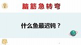 台风天气要带多少钱才能出门？什么鱼最迟钝？很考验智商