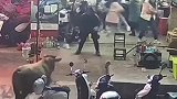黄牛突然冲进店内，把店里众人给吓跑，危急时刻男子出手控制黄牛