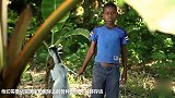 实拍：非洲孤儿第一次吃到棒棒糖 露出这样的表情！
