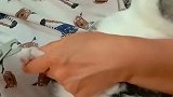 剪指甲像哄孩子一样