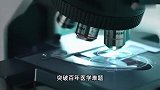 骨折打针胶水就行？全球首款“骨胶水”来了，断骨黏合只需3分钟