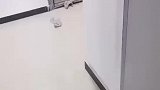 家里地板竟然被打穿了
