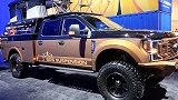 你也想要一辆这种全能型福特皮卡吗？