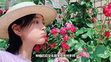 “军嫂”张馨予婚后生活太悠闲！种花草不像女，怼脸比花娇艳