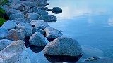赛里木湖时光若水，无言既大美。