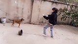 沙雕沙雕沙雕 搞笑视频 你的女友已上线 这动作也帅了，这多年没见的二狗子