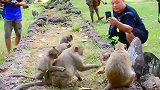 莫帝被欺负，猴哥出手，一场小冲突发生了