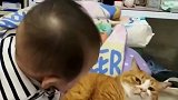 小孩被猫嫌弃