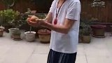 很多人都吃过这种果实