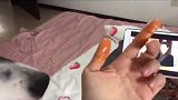 你的狗是狗，我的是边牧，为什么？看完视频再评论