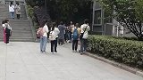 好多人围着看猫咪吵架