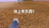 全网寻找楼里面这位小哥，太坏了
