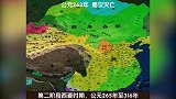魏晋南北朝为何持续了369年，何为魏晋，何为南北
