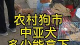护卫犬中亚多少能拿下