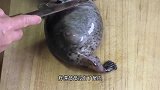 日本人买了条“带腿”的鱼，一摸肚子鼓鼓，切开一看难以置信！