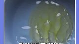 检测真假的办法教程来了，看完视频的你学会了吗？快去试试吧