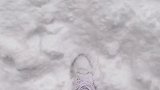 二哈都这么爱吃雪么 东北请全看暴雪