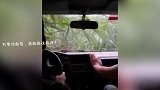 谁还没被导航坑过几次，再难也要走下去