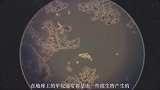 火星的甲烷浓度飙升87倍，真的是火星生物要诞生了吗