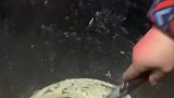 来吧！大人小孩吃了都健康
