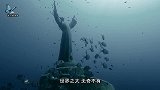 默默无闻的“水族人”，深藏海底10年未出水，现已被明令保护